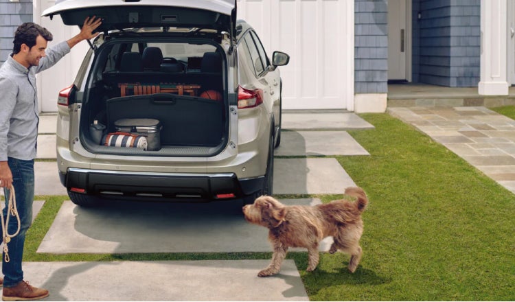 Man holding cargo door open for dog to get in